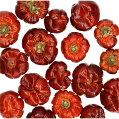 Droogvrucht Pompoen Mini 100g