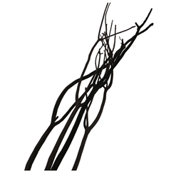 Droogdeco Mitsumata Vlok 115cm X3