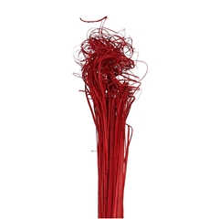 Droogdeco Curly TingTing 70cm 200g