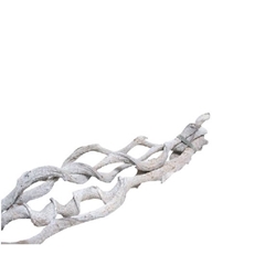 Droogdeco Curly Bundel 60cm X5