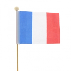Bijsteker 50cm Vlag Frankrijk 8*11cm