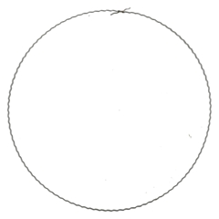 Bloemisterij Ring Metaal D25cm