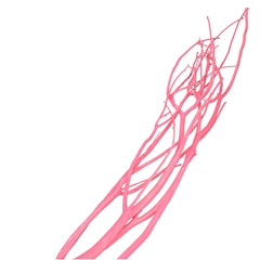 Droogdeco Mitsumata Vlok 115cm X3