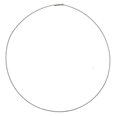 Bloemisterij Ring Metaal D30cm