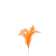 Bijsteker 50cm Veren 10cm