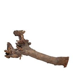 Droogdeco Kuwa Root 40cm