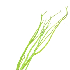 Droogdeco Mitsumata Vlok 115cm X3