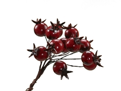 Herfst Bes/draad D1.8cm X72