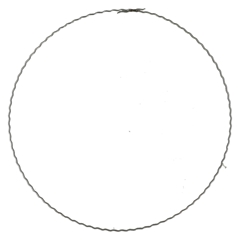 Bloemisterij Ring Metaal D20cm