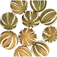 Droogvrucht Sinaasappel D4cm 250g