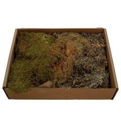 Droogdeco Mos Mix 650g
