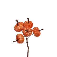 Herfst Deco Pompoen/drd 20mm X36