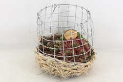 Arr4 Semp Mb - Draad/gaasmand Xl Los 23P 29cm