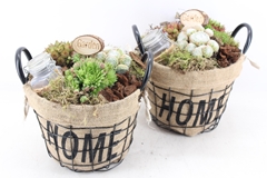 Arr4 Semp Mb - Jute/gaas Home Mand 344/3 25P 32cm