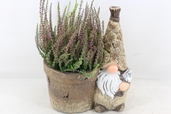 Arr4 Outdoor Js - Kabouter Bruin Muts Met Pot 28P 40cm 12bloei