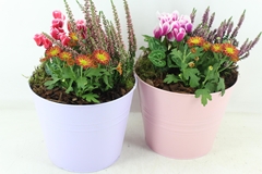 Arr4 Outdoor Pl - Zink Emmer Colour X3 21P 40cm