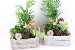 Arr2 Pl - Hout 4kant Mix 21P 40cm
