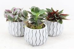 Arr3 Sn - Squigly Pot Kl. X6 9P 19cm