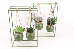 Arr2 Mb - IJzer Rek 2glas Green 20P 35cm