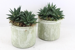 Arr3 Sn - Ker. Pot Groen 250/4 15P 27cm