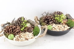 Arr4 Amaryllis Mb - Zink Bolschaal Black White 27P 22cm