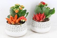 Arr2 Mb - Ker. Pot Dots X8 13P 24cm