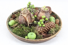 Arr4 Amaryllis Mb - Ker. Plate Luxe 338/2 28P 14H