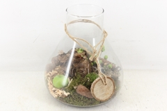 Arr4 Amaryllis Mb - Glas Paris L X3 22P 30cm