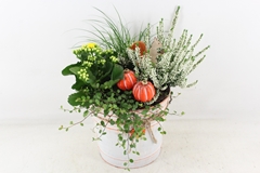Arr4 Outdoor Vl - Zink Autumn Pot L 250/2 20P 38cm
