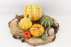 Arr4 Sierfruit Mb - Hout Schijf Xl Or 36P 25cm