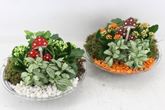 Arr2 Pl - Glas Schaal 27cm - Oranje/wit 26P 25cm