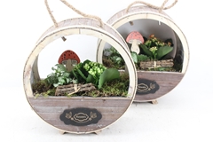 Arr2 Td - Houten Wiel - Oranje/wit 26P 33cm