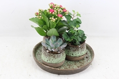 Arr2 Mb - Ker. Luxe 3potjes Mix Indoor 22P 27cm