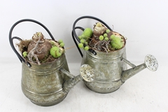 Arr4 Amaryllis Mb - Zink Gieter Grieen 30P 29cm