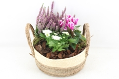Arr4 Outdoor Pl - Mand Brown White 27P 35cm
