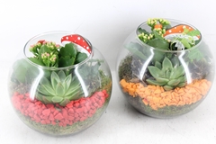 Arr2 Pl - Glas Bol X5 - Oranje/rood 20P 23cm