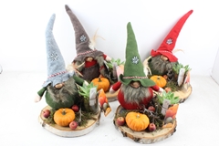 Arr2 Mb - Gnoom Hout Schijf Xl Mix 28P 47cm