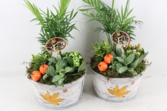 Arr2 Td - Schaal Rond Herfst - Oranje/wit 20P 40cm