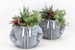 Arr3 Sn - Ker. Hoodie Grey 16P 24cm
