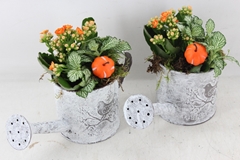 Arr2 Td - Zink Gieter - Oranje/wit 25P 25cm