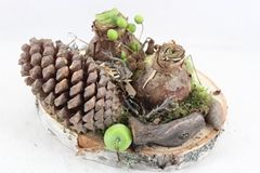 Arr4 Amaryllis Mb - Hout Schijf 2bol 26P 22cm