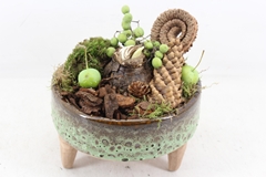 Arr4 Amaryllis Mb - Ker. Op Pootjes X5 21P 27cm