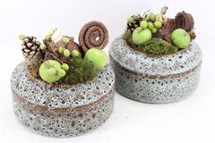 Arr4 Amaryllis Mb - Ker. Schaal Ufo 285/5 19P 24cm