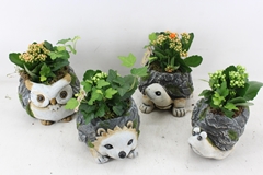 Arr2 Pl - Dierenmix Indoor 20P 25cm