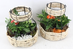 Arr2 Pl - Gaasmand - Oranje/wit 22P 30cm