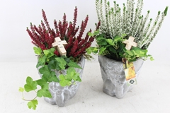 Arr4 Outdoor Js - Ker. Pot Engel Caluna/hedera 16P 39cm