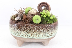 Arr4 Amaryllis Mb - Luxe Ovaal Pootjes X4 23P 26cm