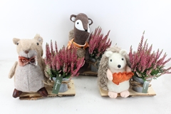 Arr4 Outdoor Mb - Autumn Animal Mix Calluna 30P 40cm