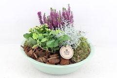Arr4 Outdoor Pl - Zink Schaal Groen 30P 29cm