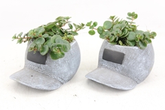 Arr3 Sn - Ker. Grey Cap X6 13P 17cm